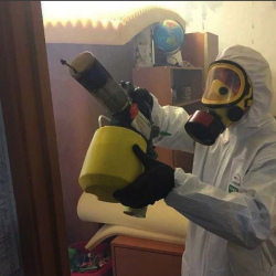 Уничтожение клопов в квартире. Якиманка